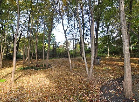 4th image of 412 Creek Bend Dr
