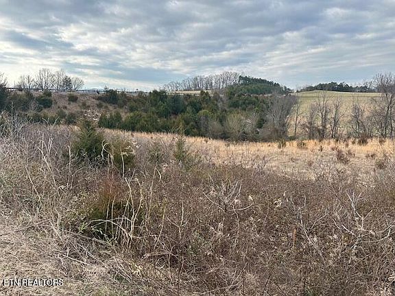 3rd image of 0 Old Parrottsville Hwy