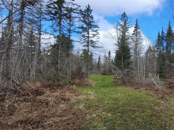11553N County Hwy A, Hayward, WI 54843