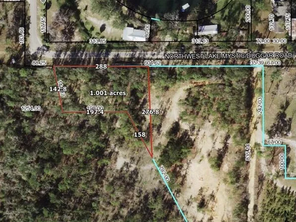 16169 NW Double C Ranch Rd, Bristol, FL 32321