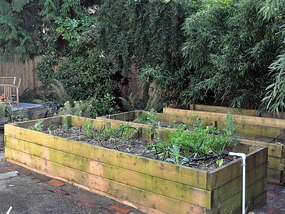 Garden beds