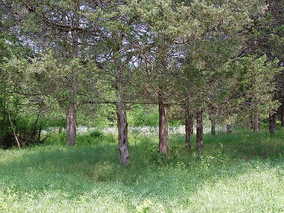 3rd image of Tbd Country Ln