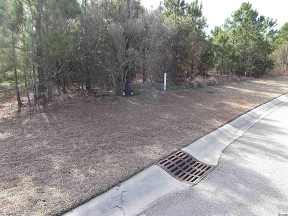 3rd image of 208 Sago Palm Dr. LOT #106