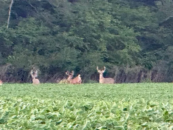 0 E 325th St, Melvern, KS 66510