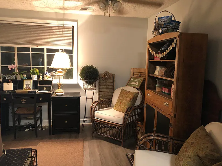 9732 Springfield Woods Cir — Photo 56