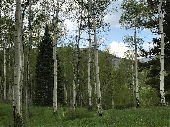 2nd image of Tbd Elk Wallow Rd