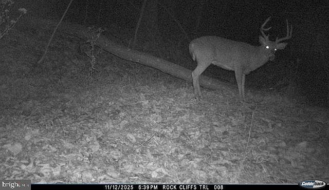 1st image of Hopkins Gap Rd