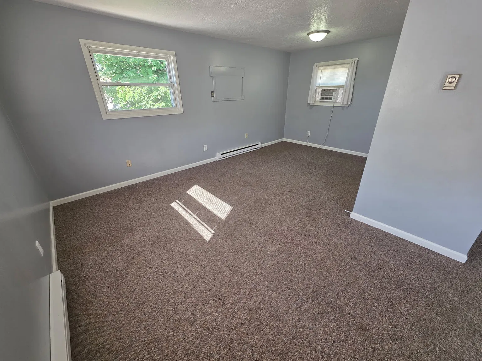 Studio, $750 — Photo 2