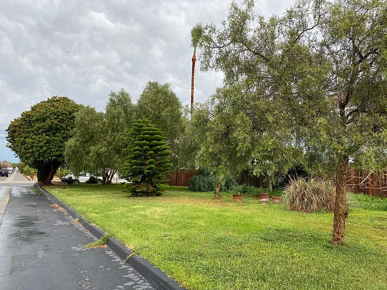 Linear park looking north from behind house.