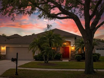 1418 Hurley Pond Ln, Valrico, FL, 33596