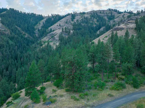 LOT 75 Pine Ridge Rd, White Bird, ID 83554