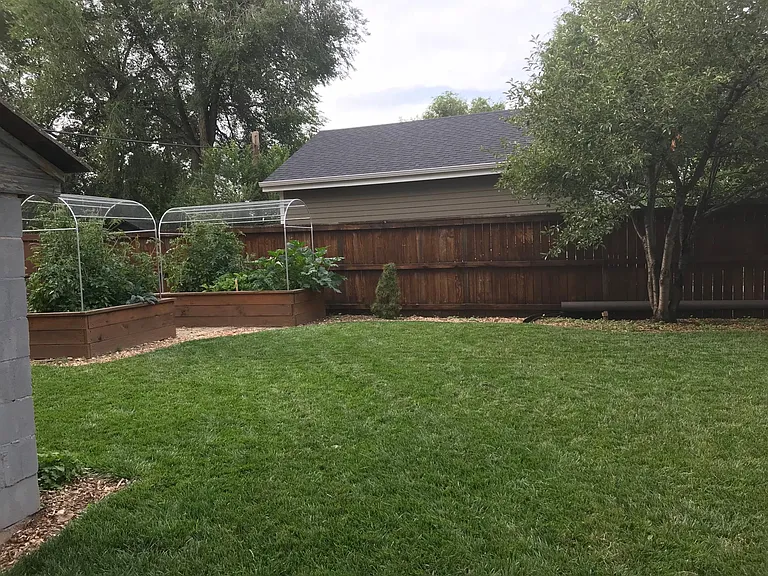fenced yard + raised garden beds