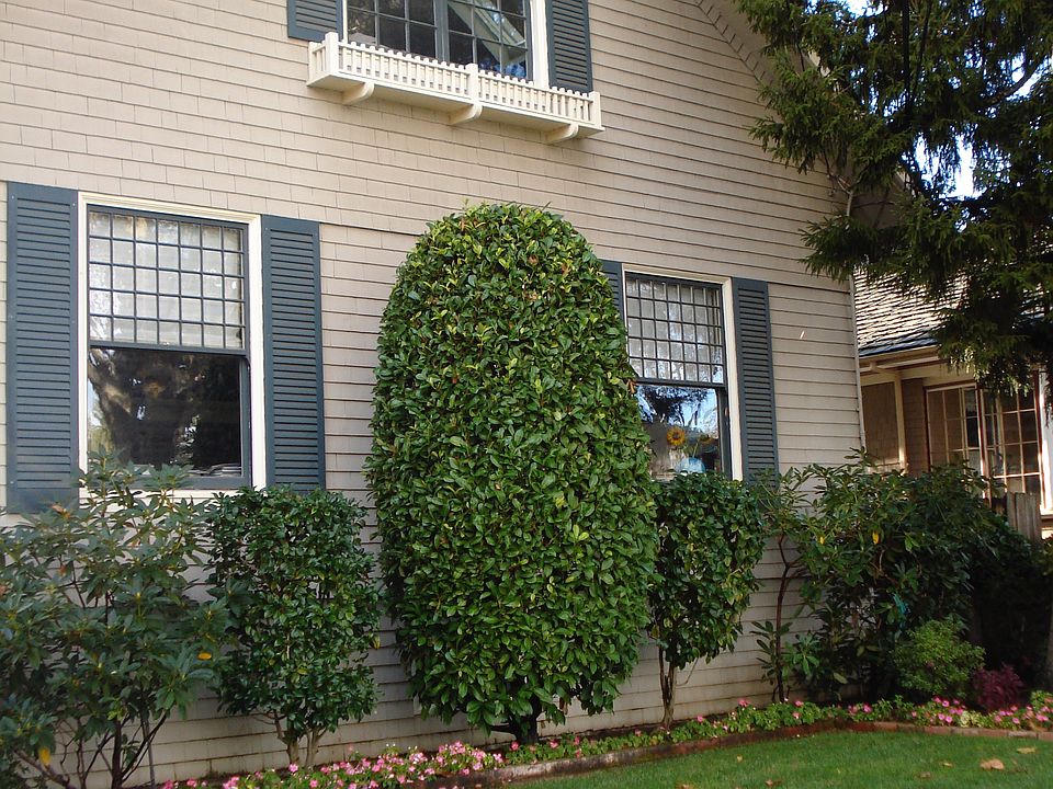 1st image of 617 Highland Ave