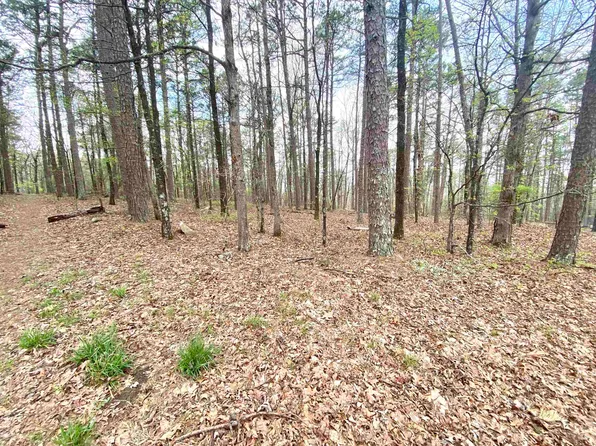 25 Jumilla Ln, Hot Springs Village, AR 71909