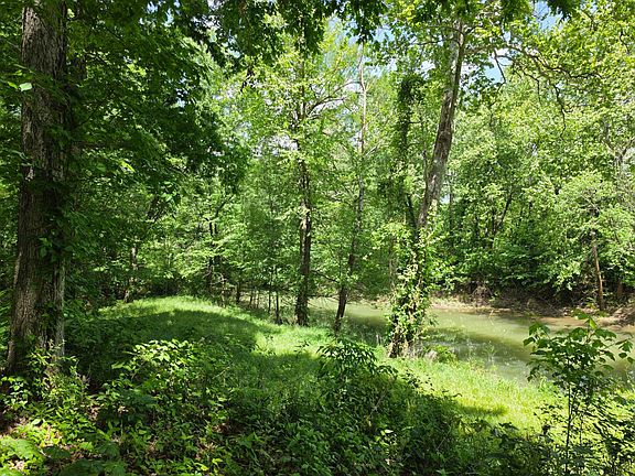 4th image of Doc Gray Rd