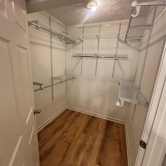 2909 Egret Ln — Photo 10