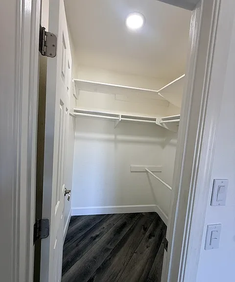 Primary walk-in closet