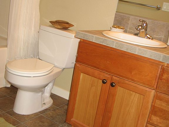 Guest Bath