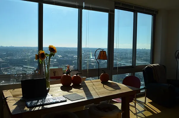 Rented by Owner | media 10