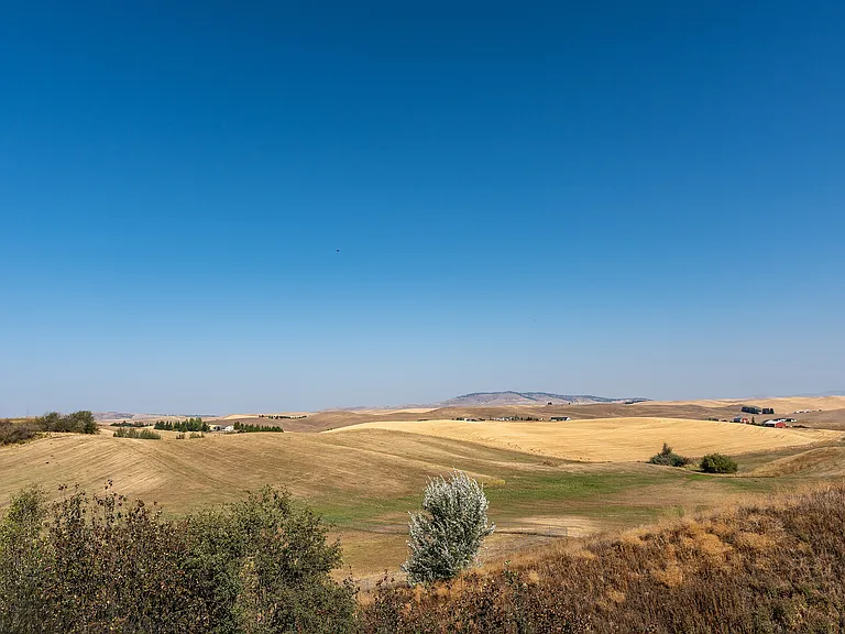 Palouse