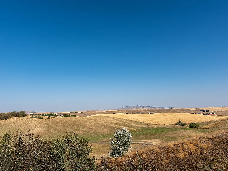 Palouse