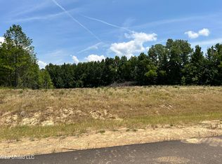 25 Riverwood Cv N, Lake Cormorant, MS 38641