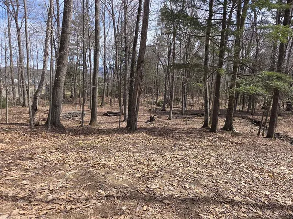 Mitchell Road, Thornton, NH 03223