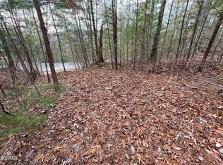 LOT 79 Whetstone Rd, Sevierville, TN 37862
