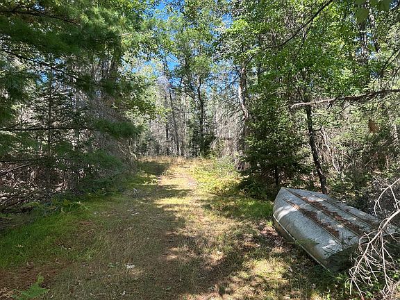 4th image of 5879 Conifer Ln