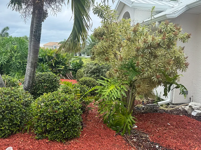 317 Lanternback Island Dr — Photo 5