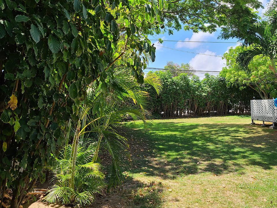yard