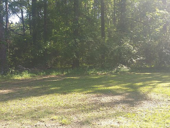 Back yard woods (quiet)