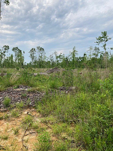 2nd image of Chisholm Rd