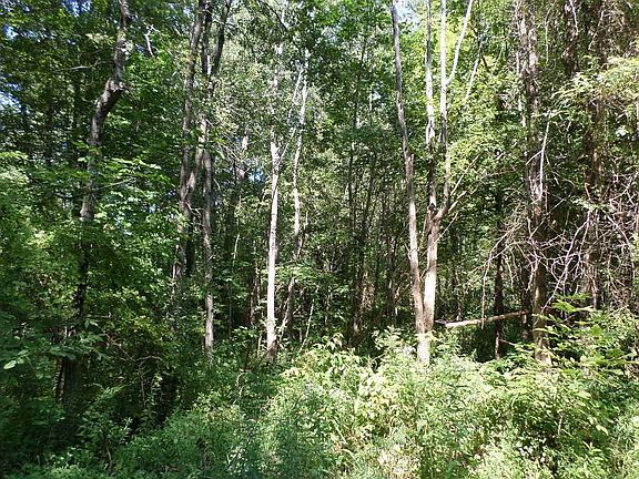4th image of Holman Dr