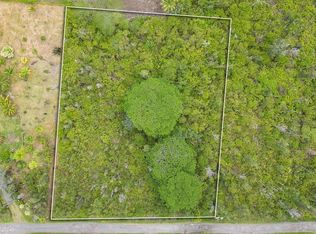 37th Ave LOT 31, Kurtistown, HI 96760