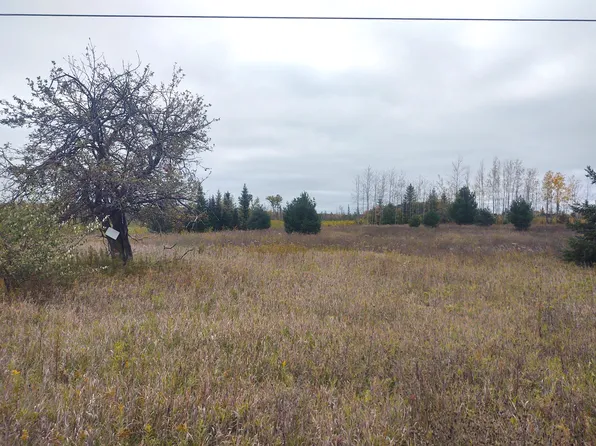 1041 Paul Rd, Hillman, MI 49746