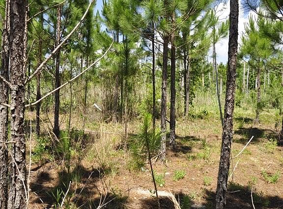 2nd image of LOT 8 Seashore Ests Lot 8