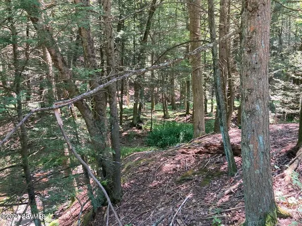 Green Creek & Youngs Hill Rd, Benton, PA 17814