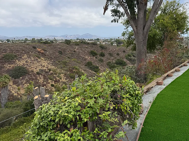 8870 Raejean Ave — Photo 25