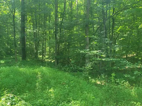 1 Terrapin Run Rd, Dover, TN 37058