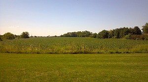 Land View