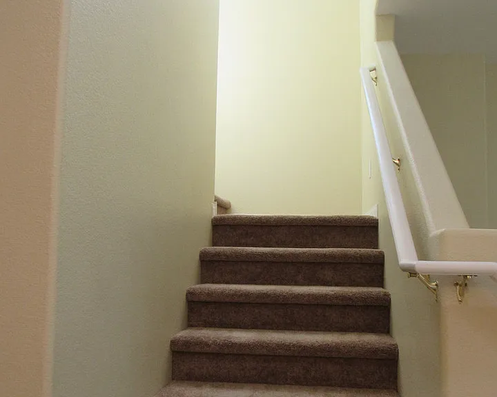 389 Red Eucalyptus Dr — Photo 11