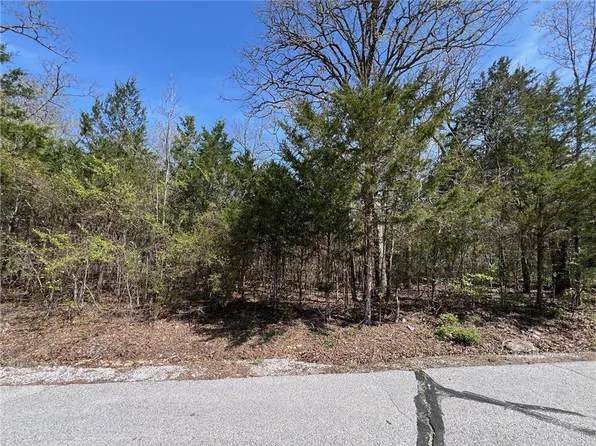 W Larchwood Dr #16, Lead Hill, AR 72644