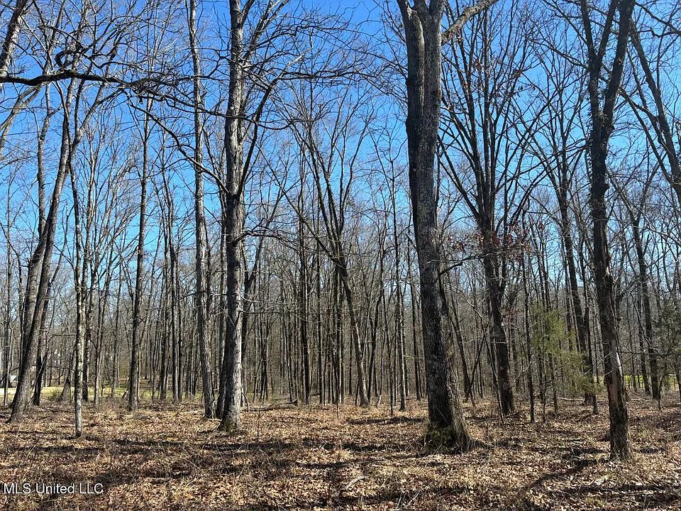 2nd image of 123 Bridgewater Xing