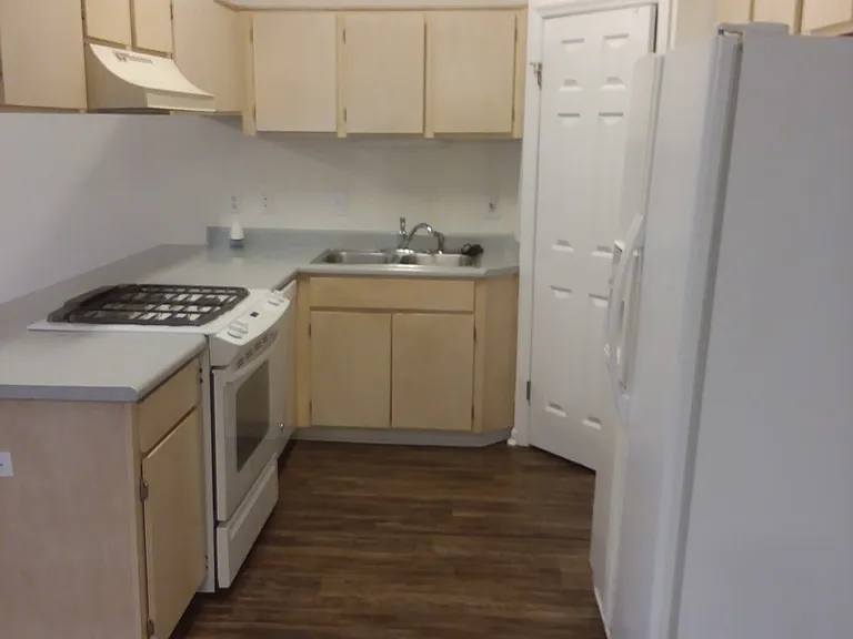 2803 Saw Palmetto Ln — Photo 15