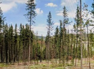 337 County Road 5221 LOT 5, Tabernash, CO 80478
