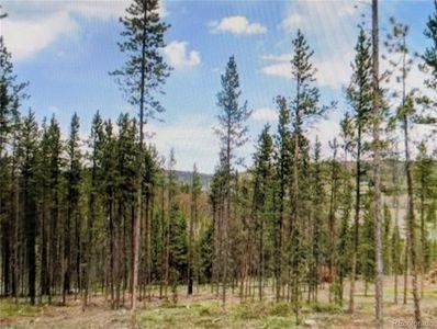 337 County Road 5221 LOT 5, Tabernash, CO, 80478
