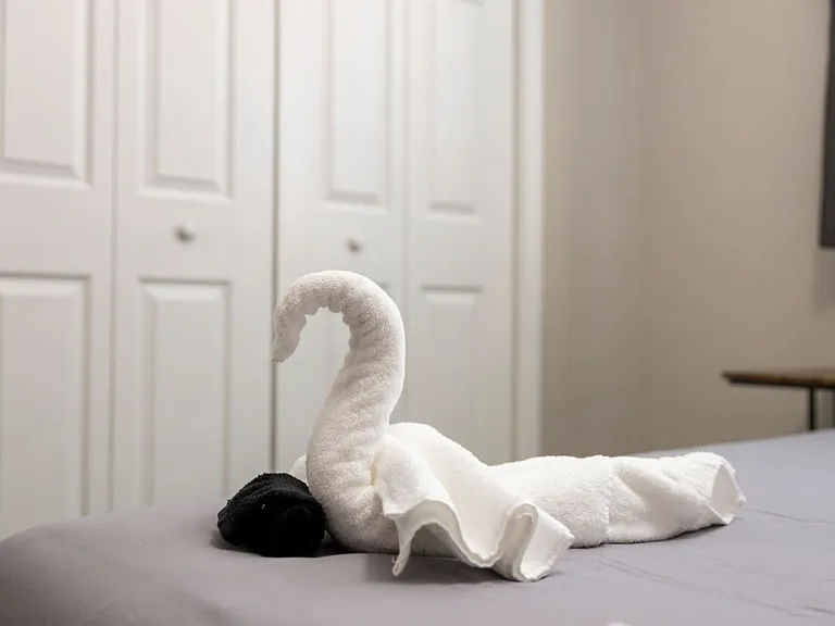 Gemini Ct — Photo 5