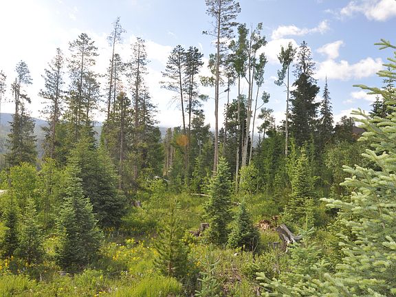 4th image of 515 Forest Trl