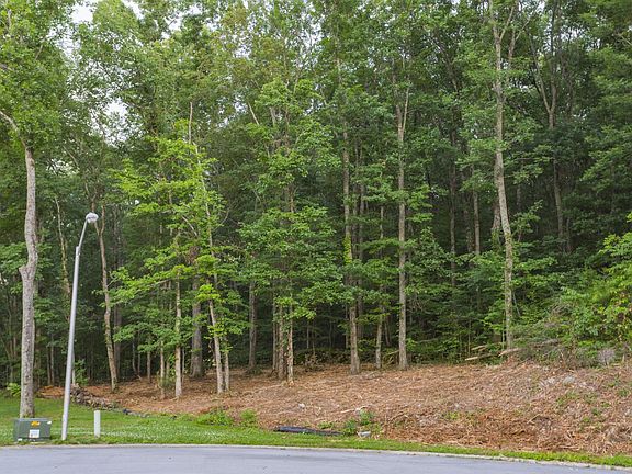 2nd image of 517 Willow Hill Cir